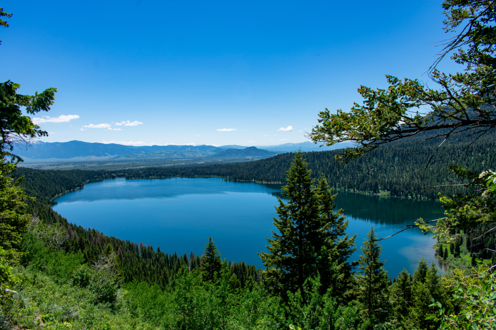 An image depicting the trail Death Canyon - Static Peak Divide Junction Trail and its surrounding area.