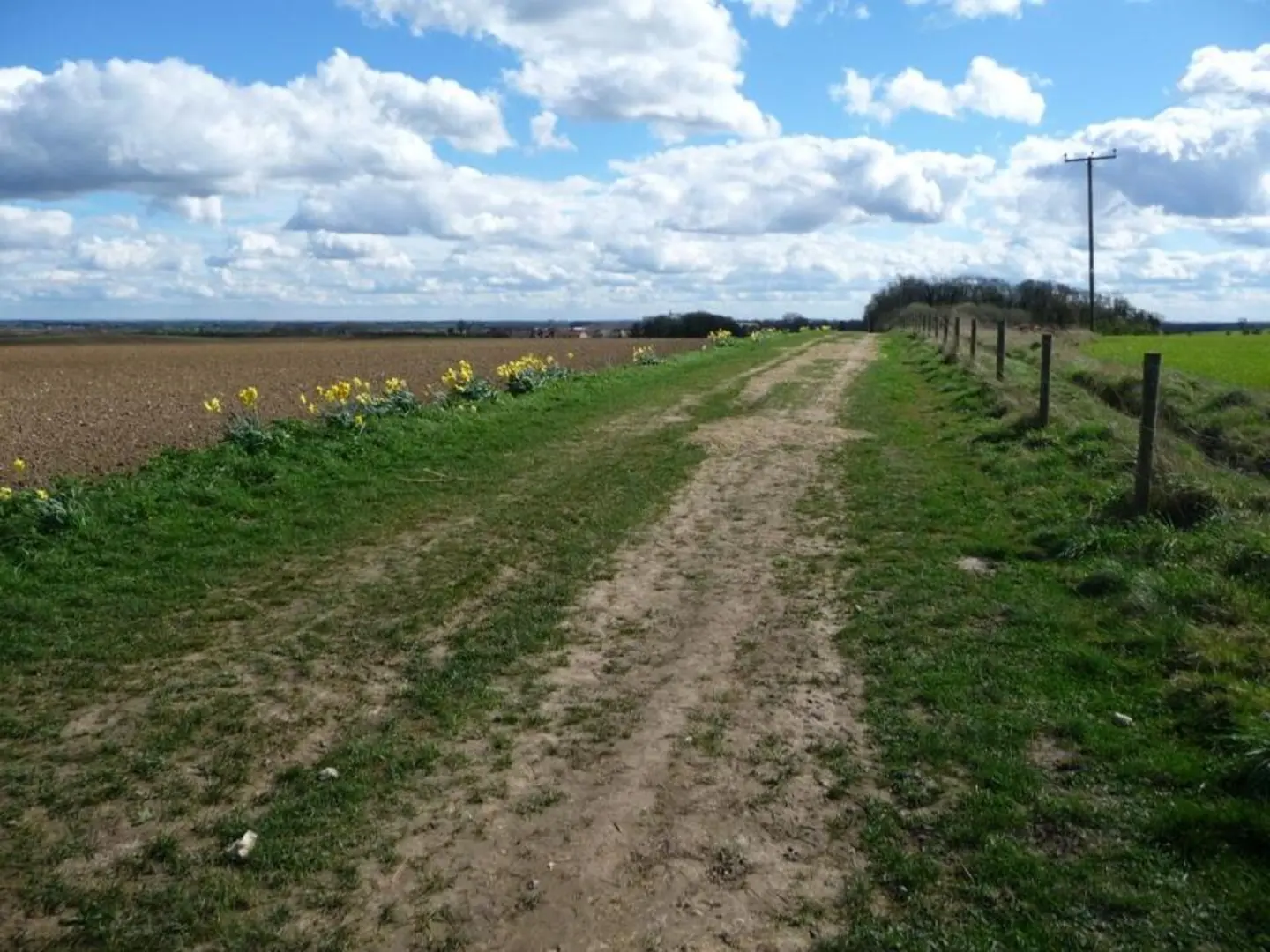 An image depicting the trail Towton Battlefield Walk and its surrounding area.