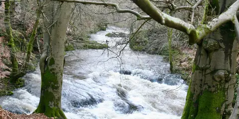 An image depicting the trail Rumbling Bridge and Crook of Devon and its surrounding area.
