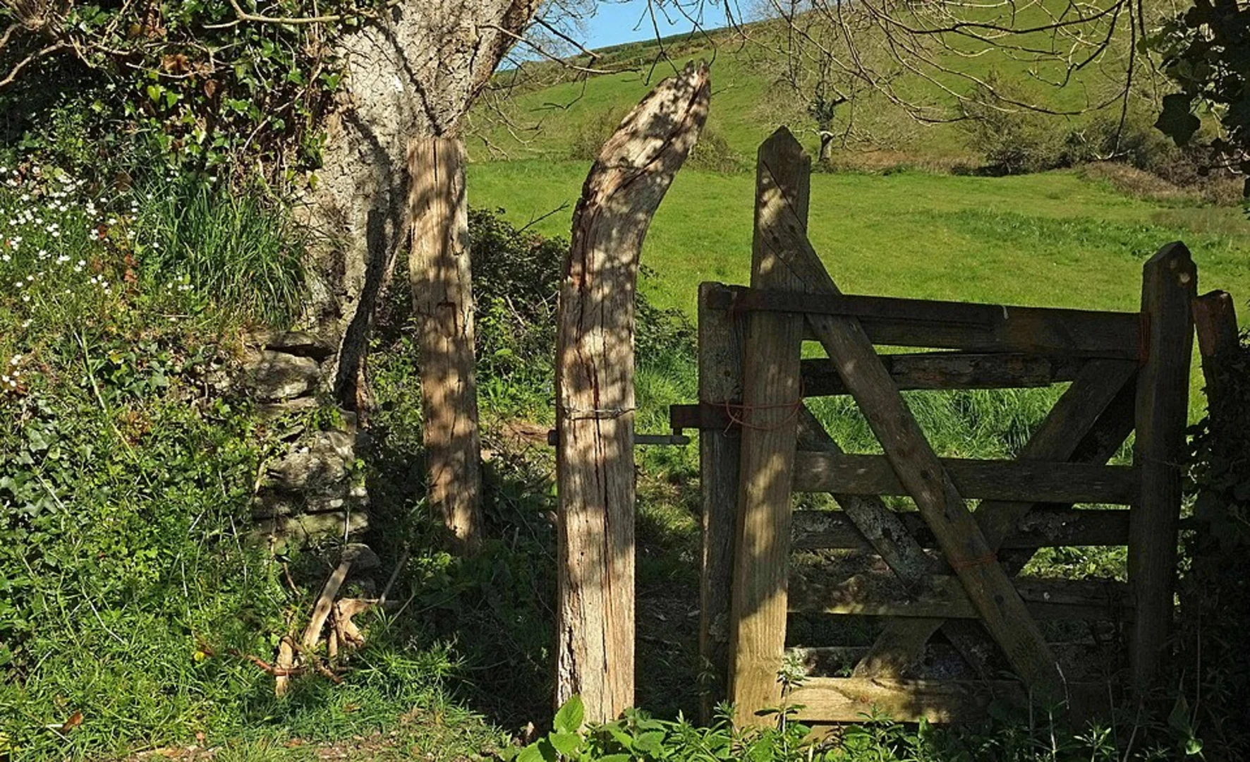 An image depicting the trail Modbury to Brownston Loop and its surrounding area.
