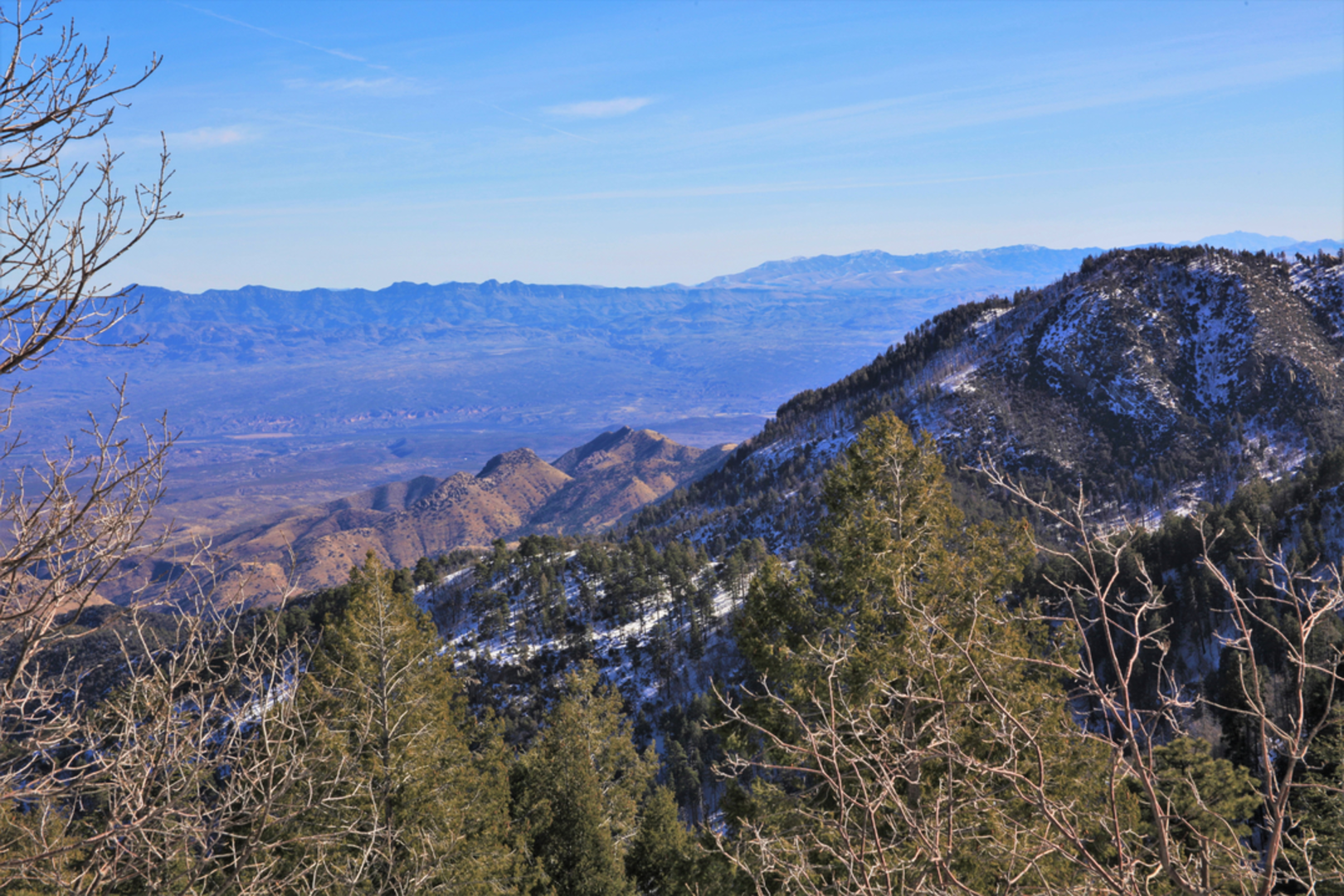 An image depicting the trail Maverick Springs via Green Mountain Trail and its surrounding area.