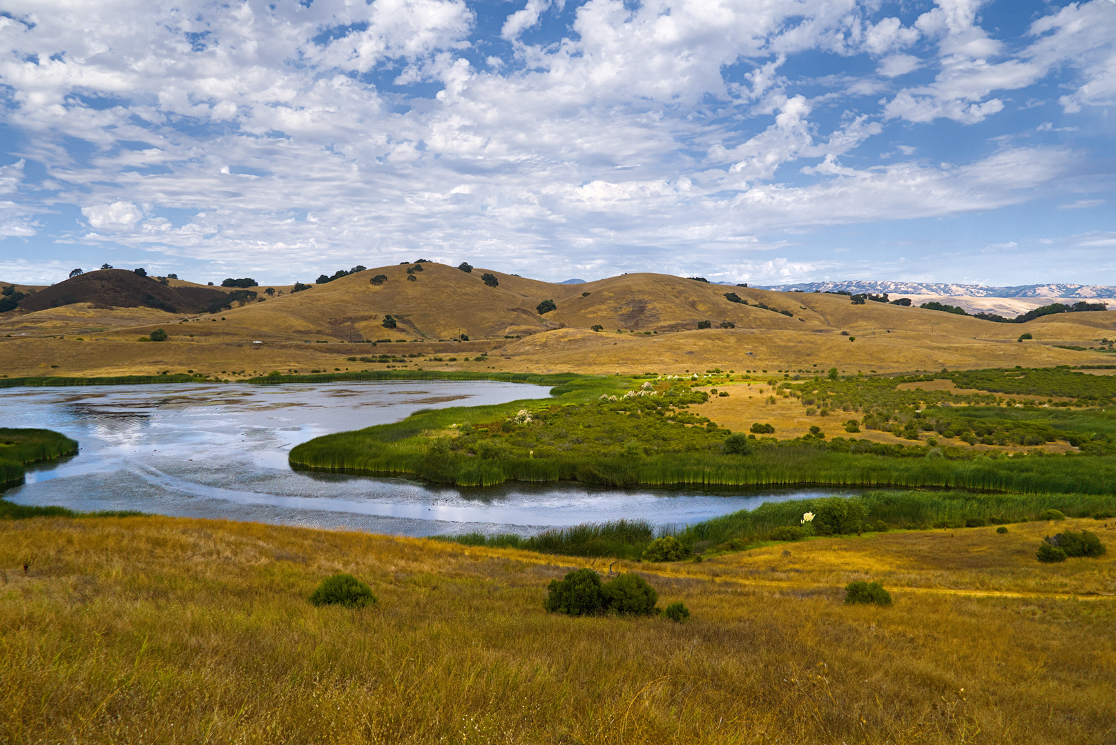 An image depicting the trail Calero Reservoir and Serpentine Loop Trail and its surrounding area.