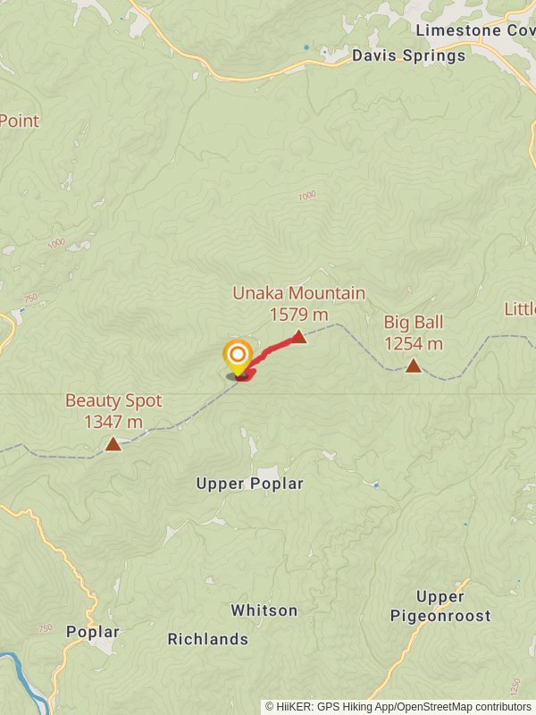 Unaka Mountain via Appalachian Trail