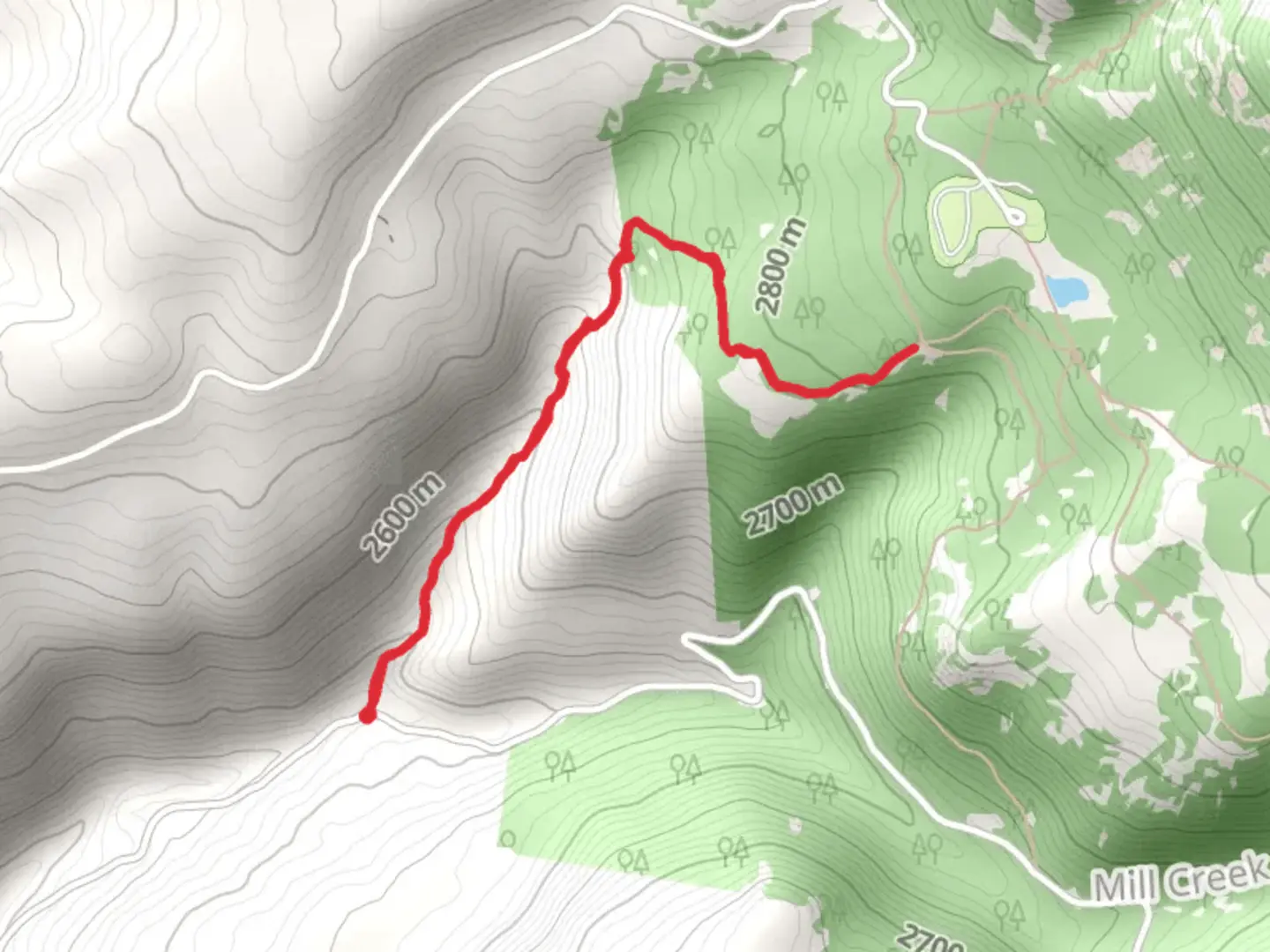 An image depicting the trail Schuman - Shafer Creek Trail and its surrounding area.