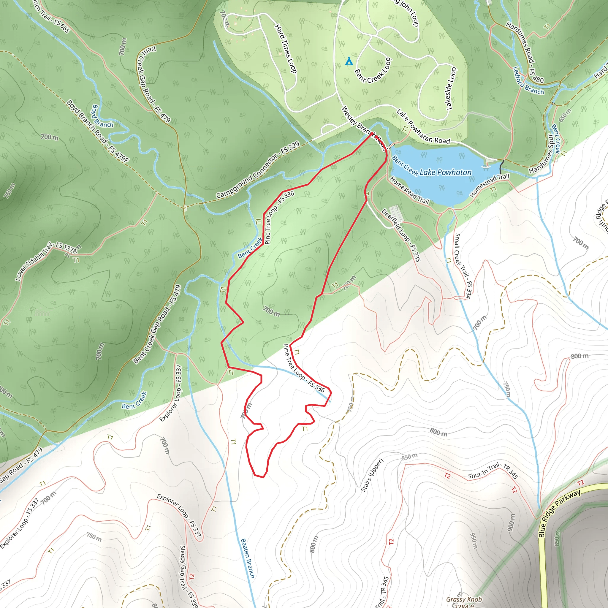 Pine Tree Loop Trail mobile static map