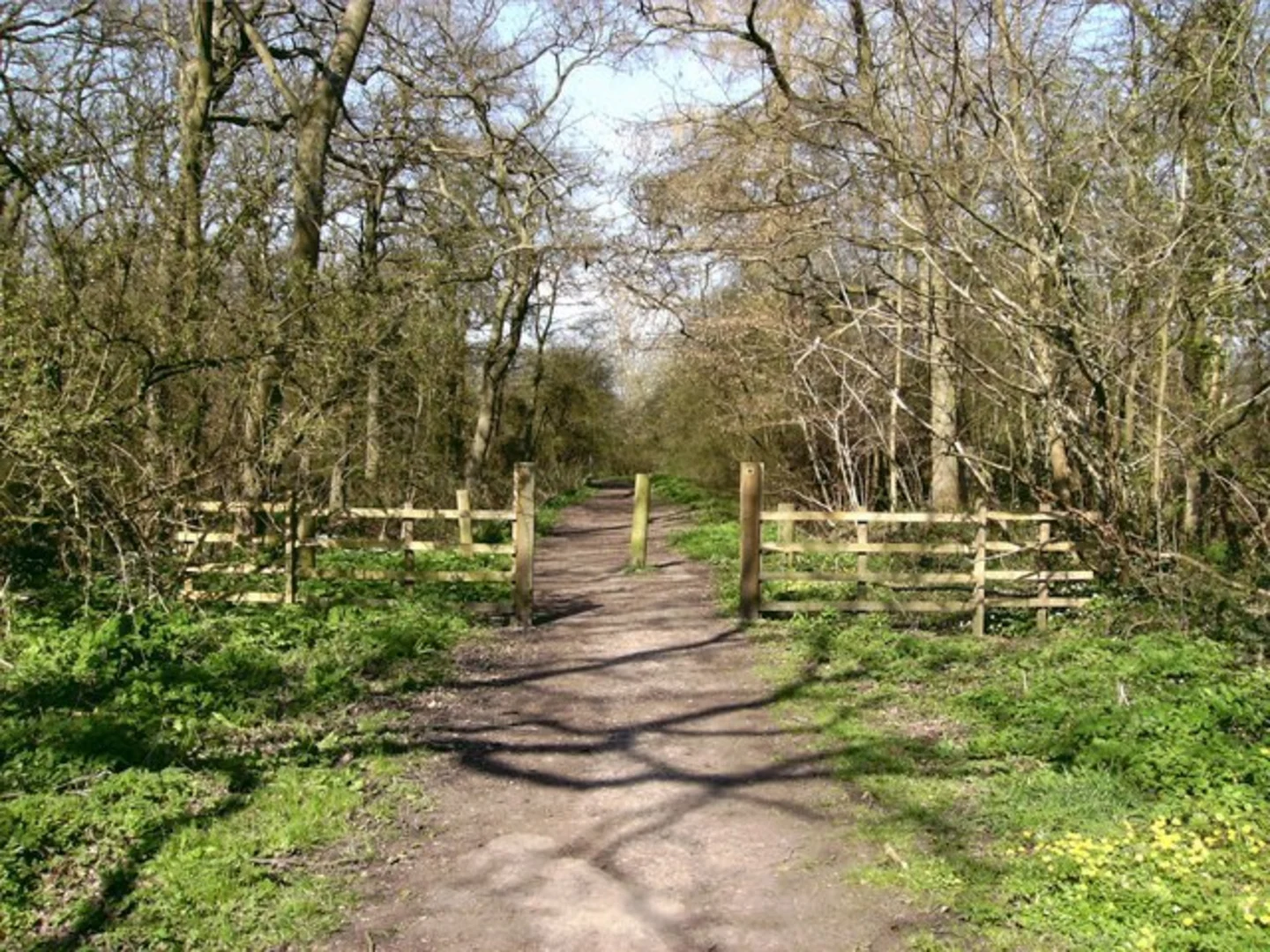 An image depicting the trail Barnoldby le Beck and its surrounding area.
