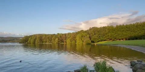 An image depicting the trail Ballycuggaran - Crag Wood Walk and its surrounding area.