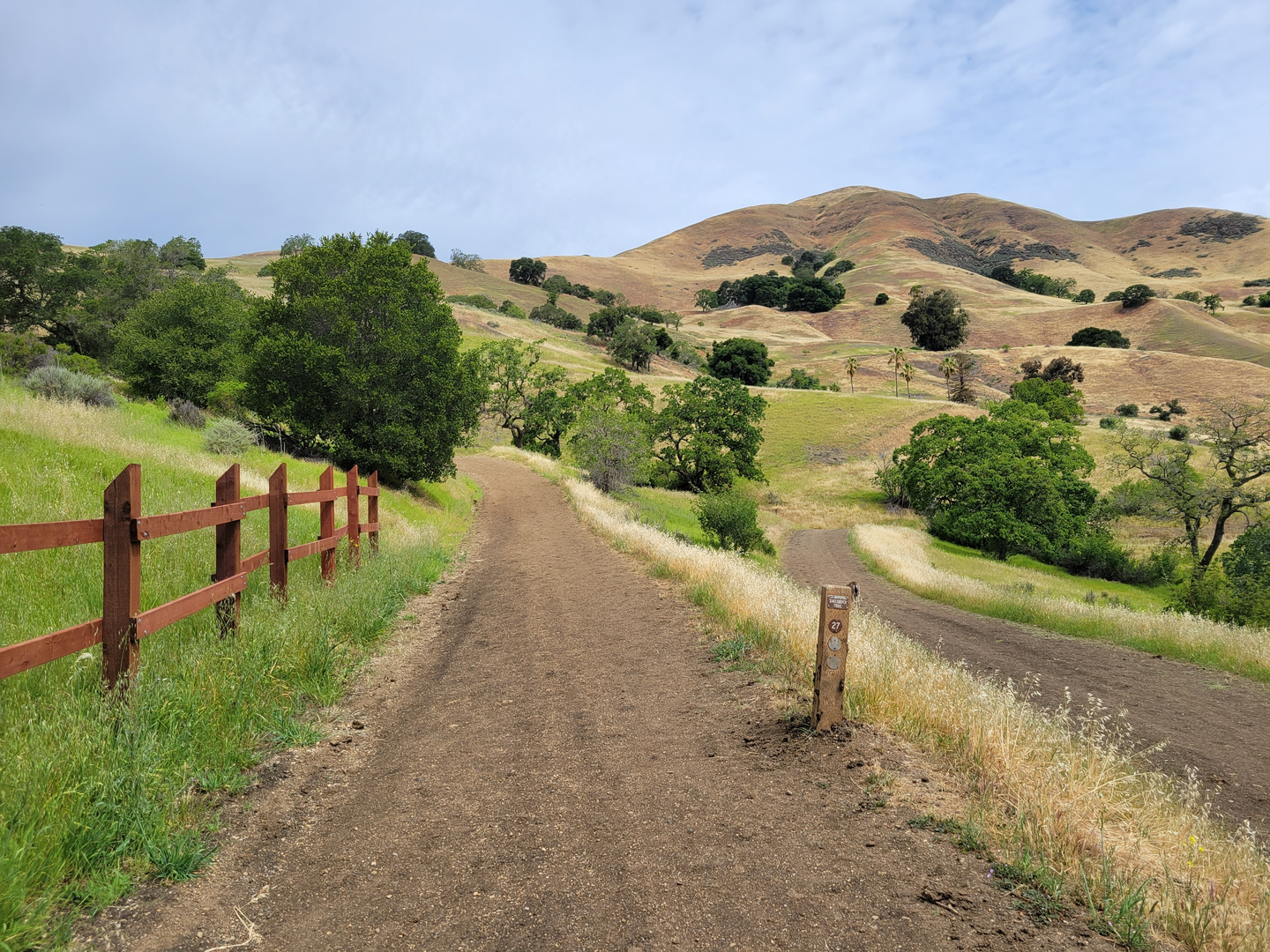 An image depicting the trail Penitencia Creek Trail Loop and its surrounding area.
