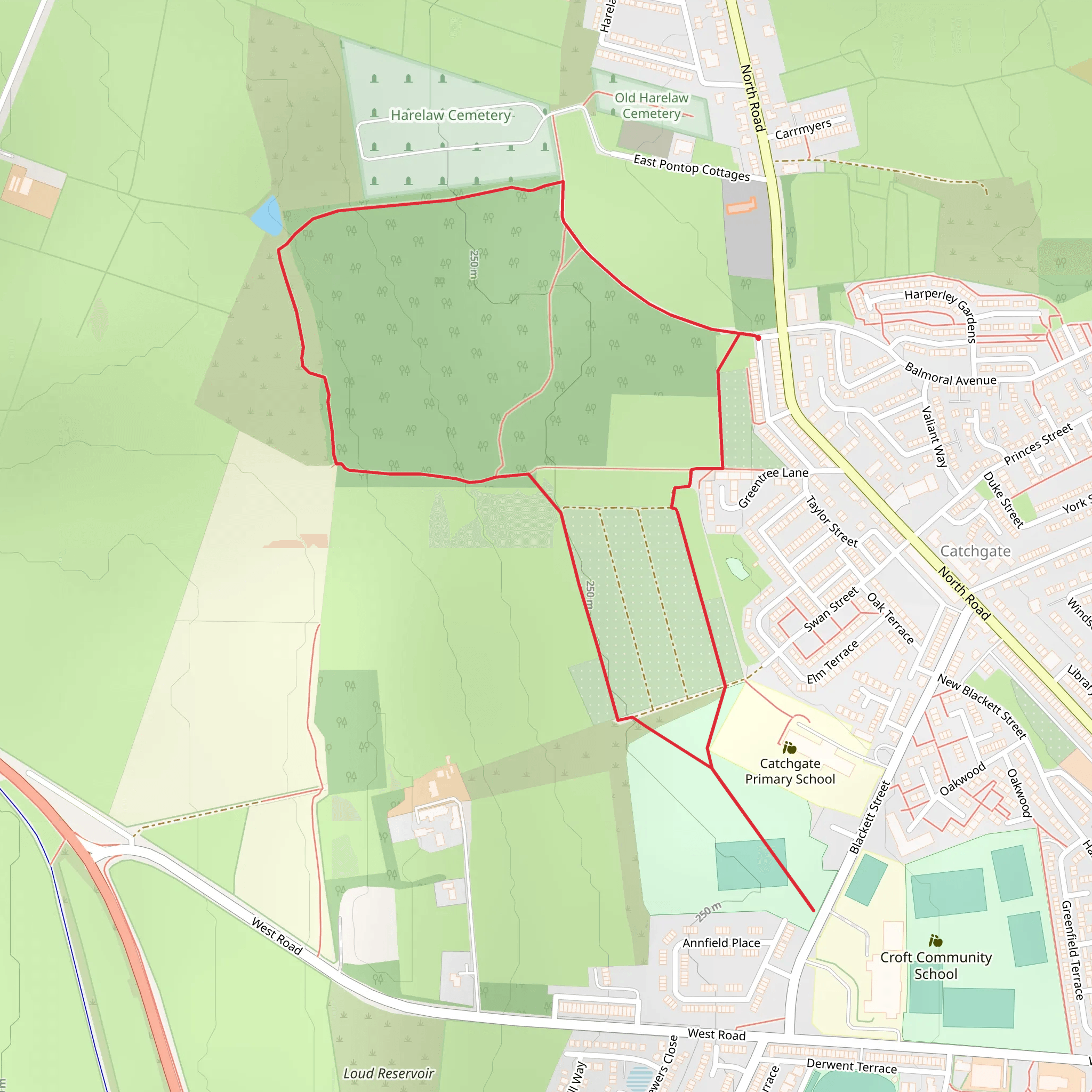 Carrmyers Pond Loop mobile static map
