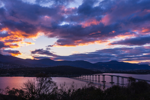 An image depicting the trail Rosny Hill Circuit Track and its surrounding area.