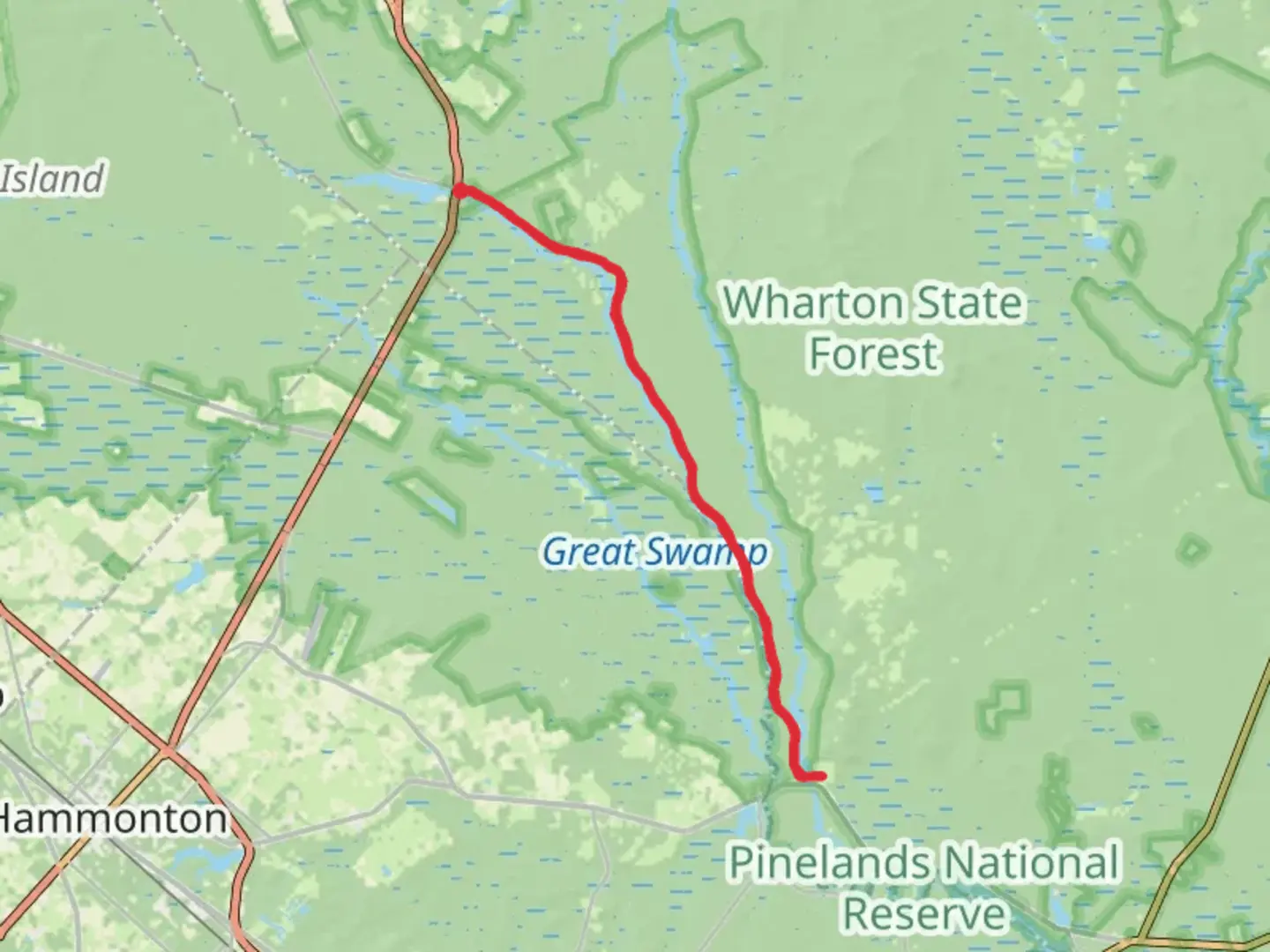 An image depicting the trail Mullica River Road Walk and its surrounding area.