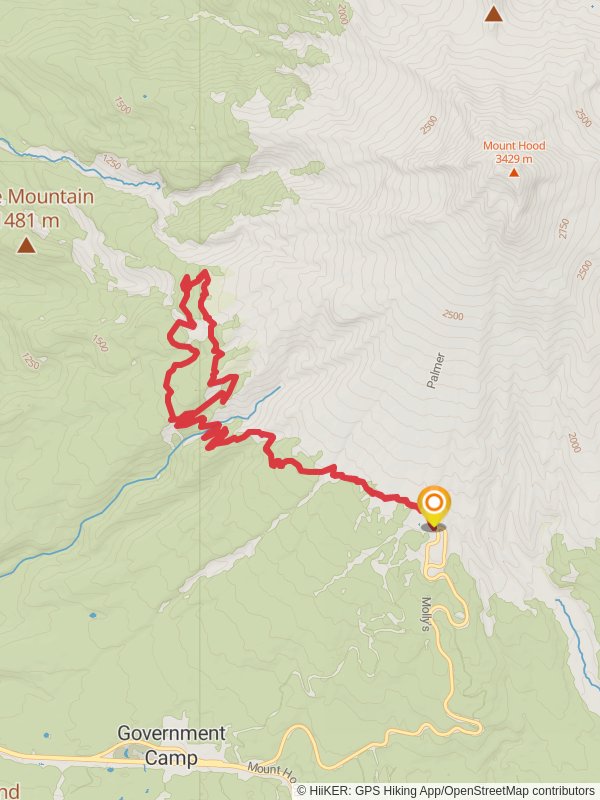 Paradise Park and Mount Hood Timberline Loop