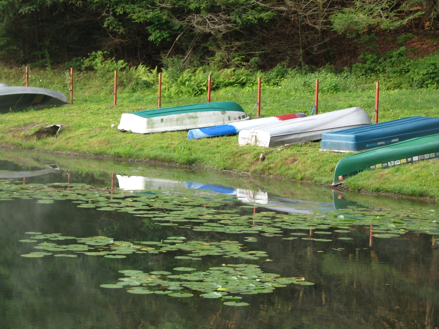 An image depicting the trail Locust Creek - Tuscarora Lake and its surrounding area.