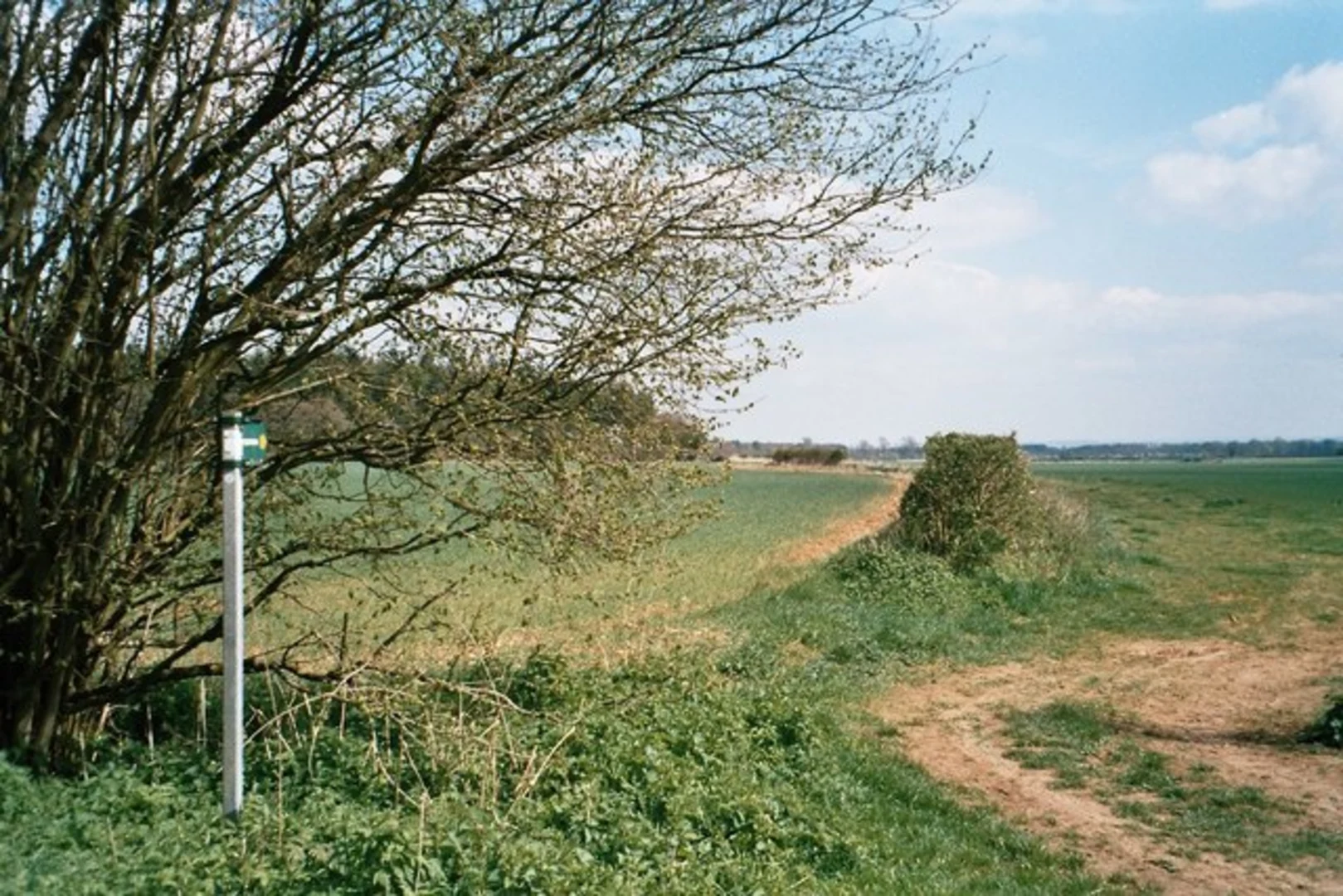 An image depicting the trail Stonesfield Loop and its surrounding area.