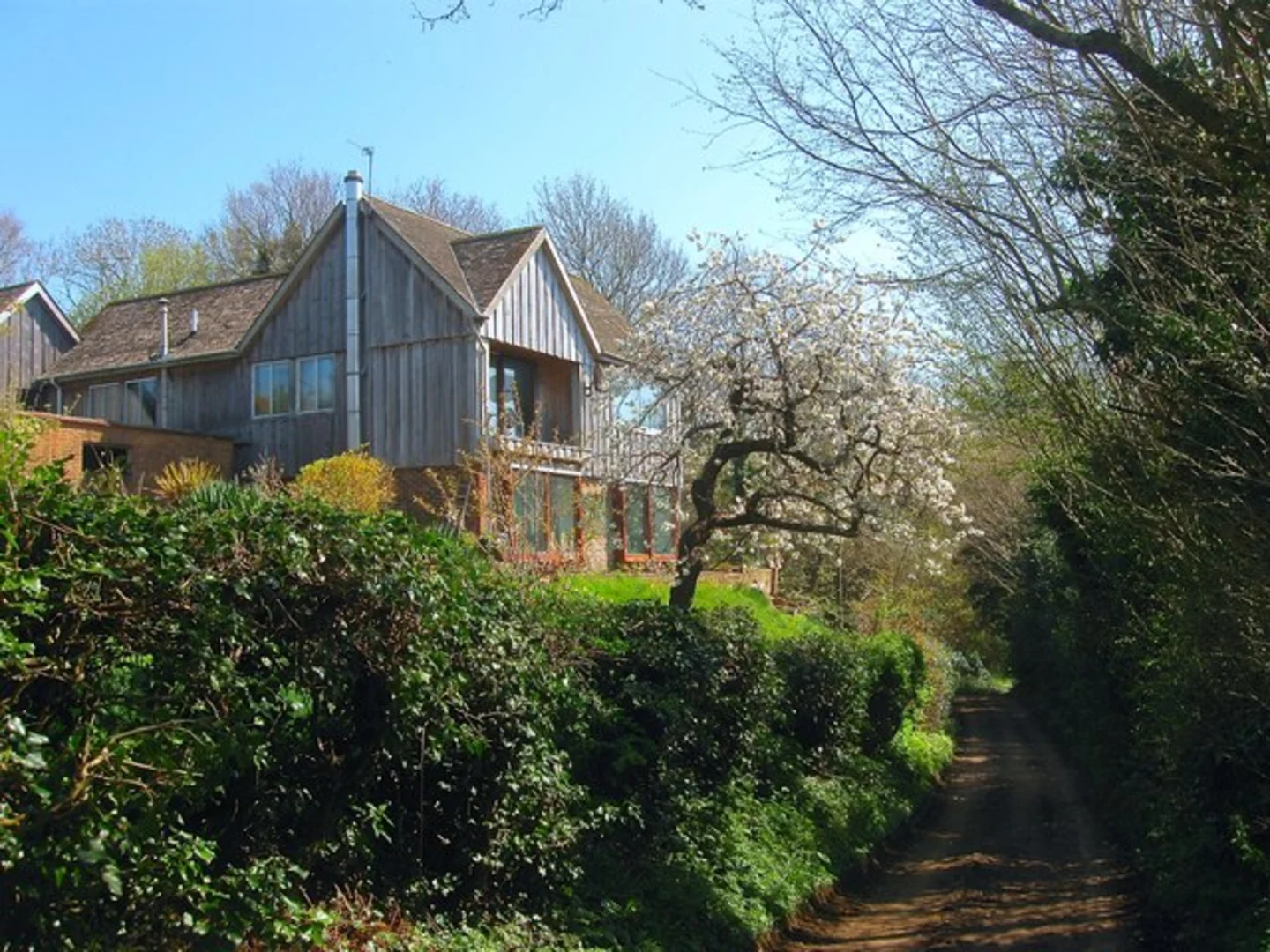 An image depicting the trail Henfield Common and its surrounding area.