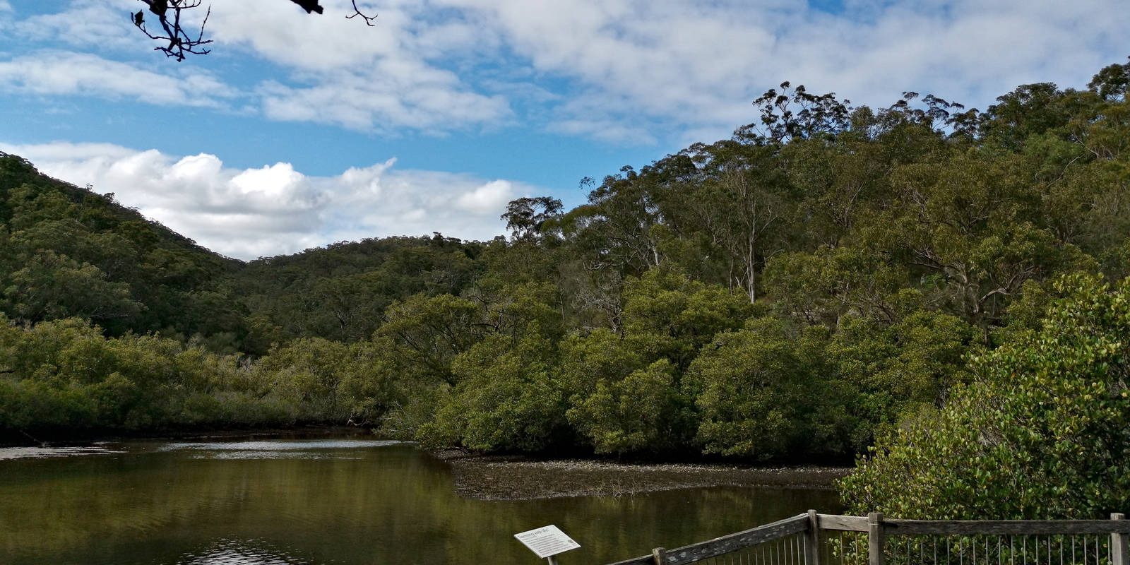 Berowra Track to Apple Tree Bay trail stages