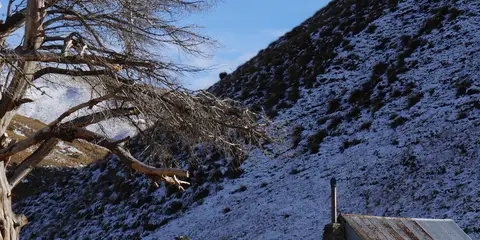 An image depicting the trail Tuohys Gully to Meg Hut and its surrounding area.