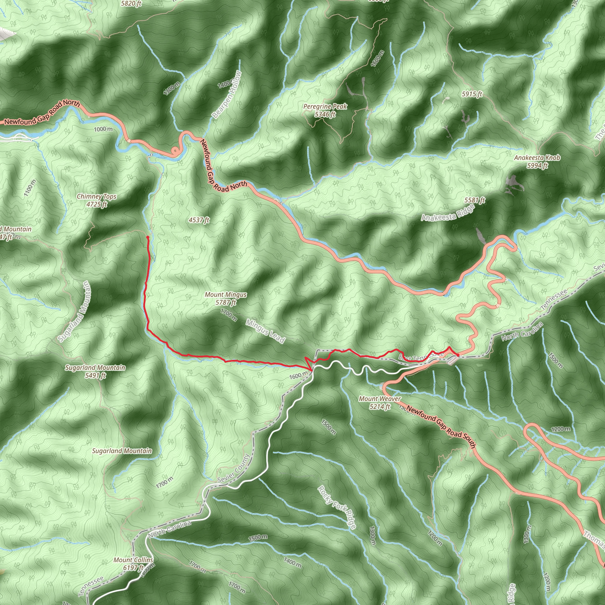 Appalachian, Indian Gap and Road Prong Trail mobile static map