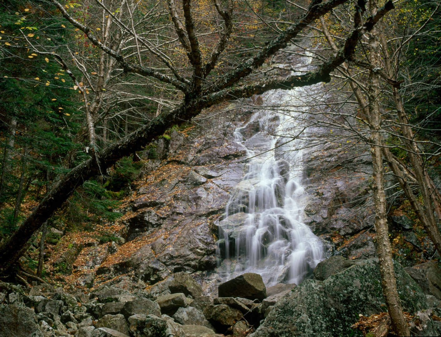 An image depicting the trail Nancy Pond Trail and its surrounding area.