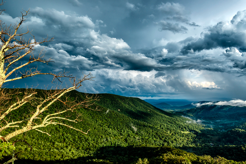 Smith Roach Gap Road Trail