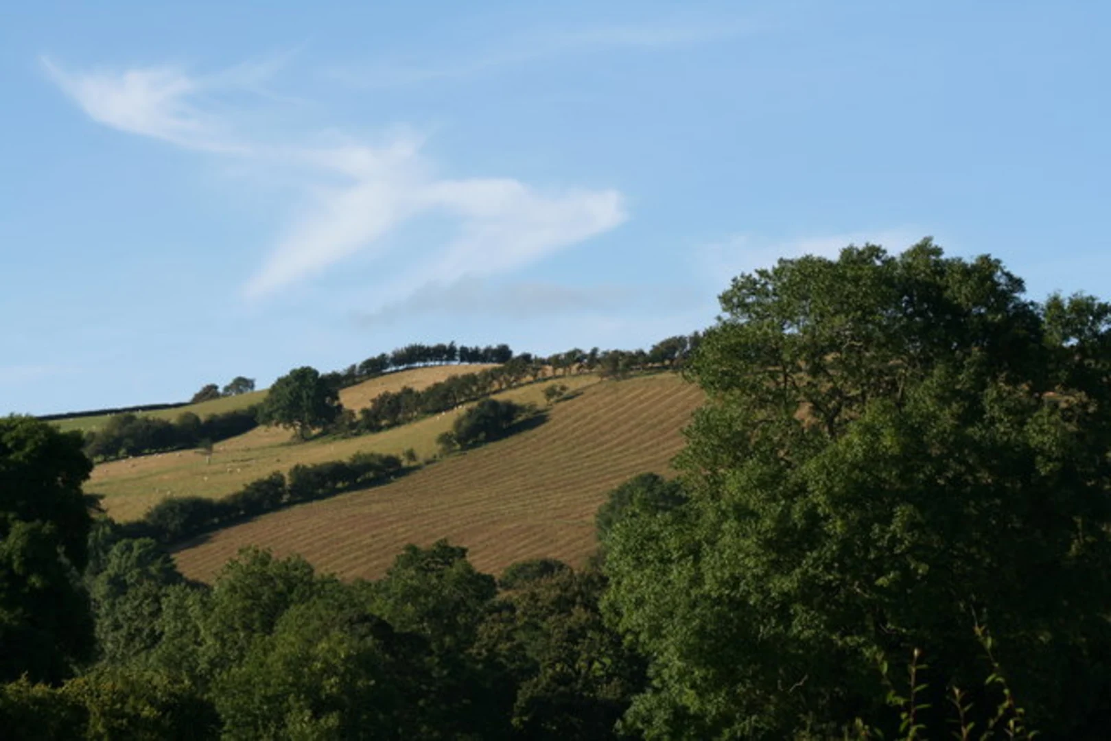 An image depicting the trail Clun and Mardu Loop via Hergan and its surrounding area.