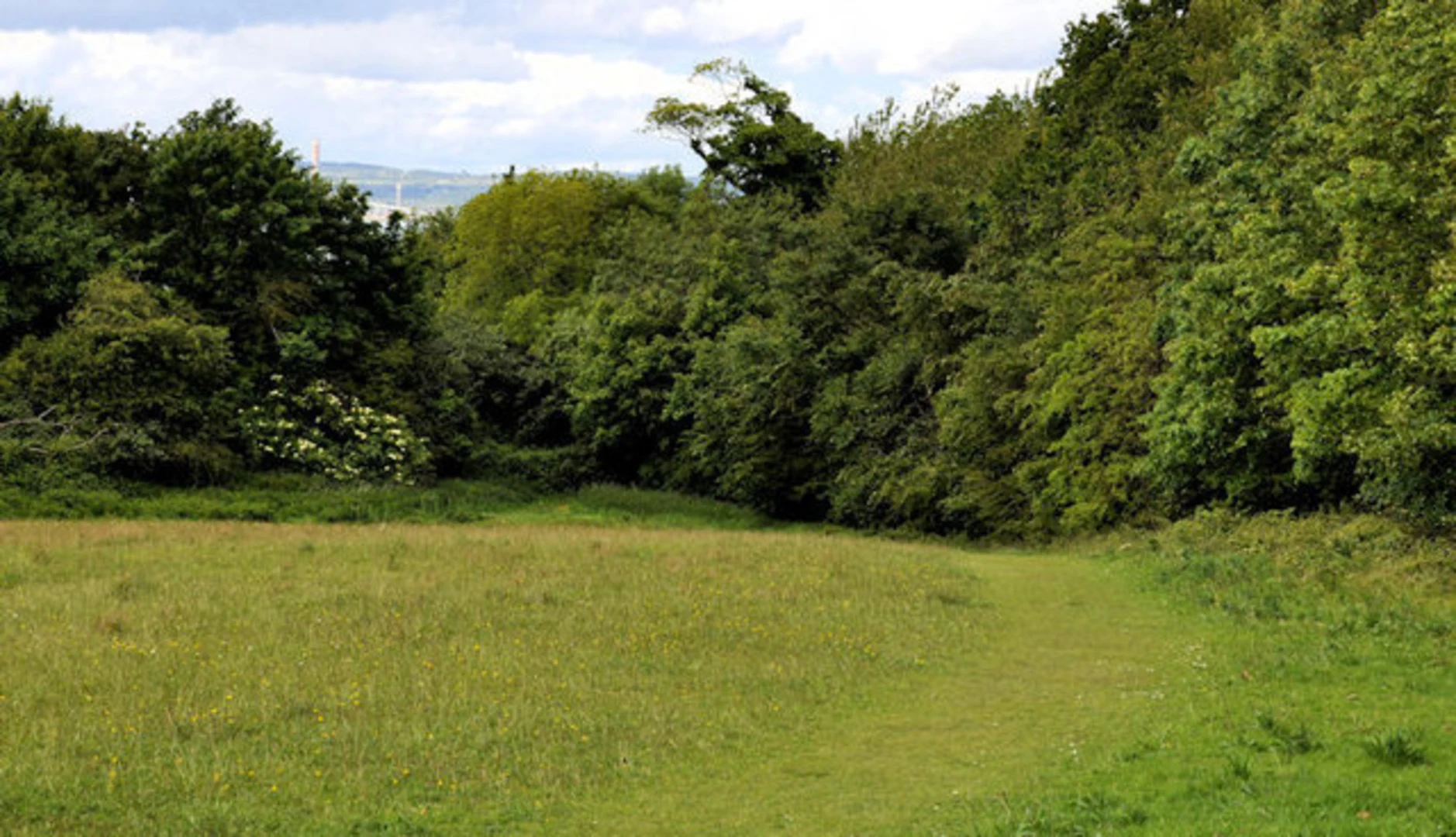 An image depicting the trail Coastal Walk - Crawfordsburn Country Park and its surrounding area.