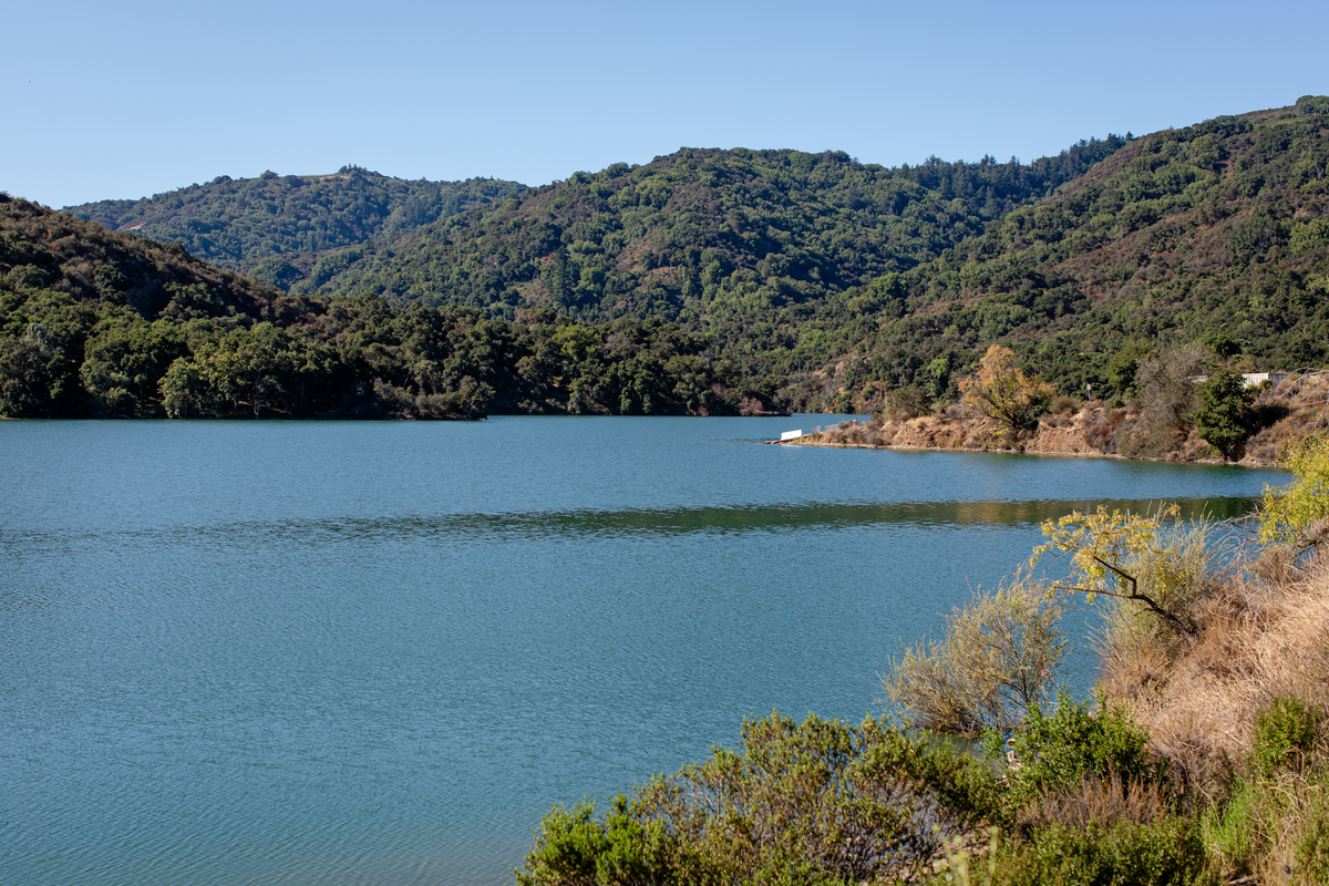 Stevens Creek - Tony Look and Coyote Ridge Loop Trail
