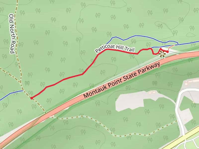 Petticoat Hill Trail