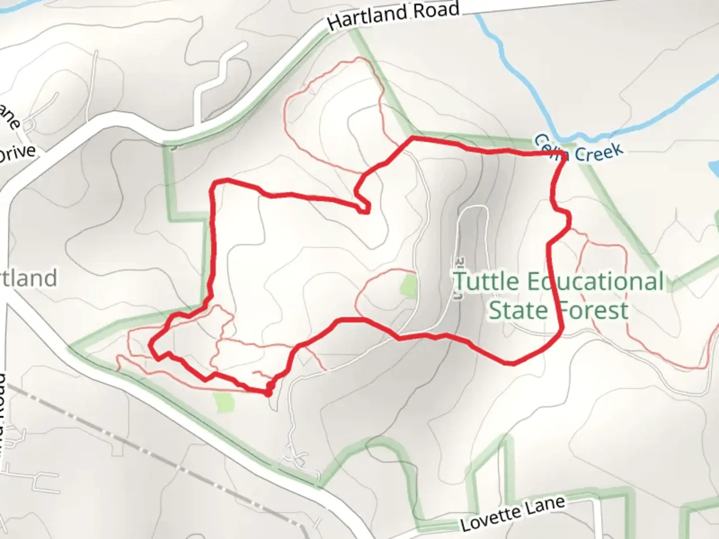 An image depicting the trail Talking Tree Trail and Demo Long Loop Trail and its surrounding area.