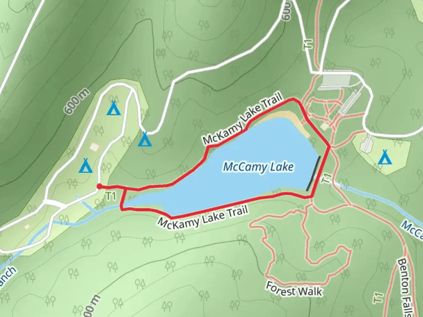 An image depicting the trail McCamy Lake Loop and its surrounding area.