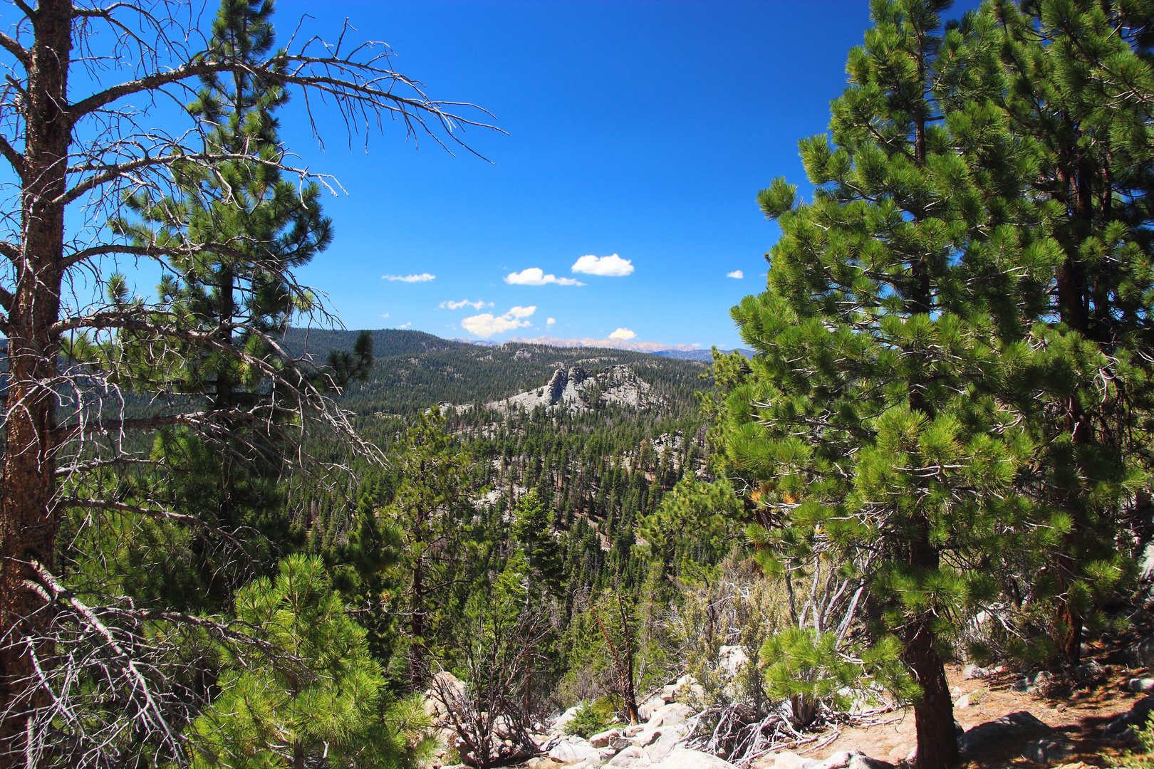 An image depicting the trail Jackass Peak - Albanita Trail and its surrounding area.