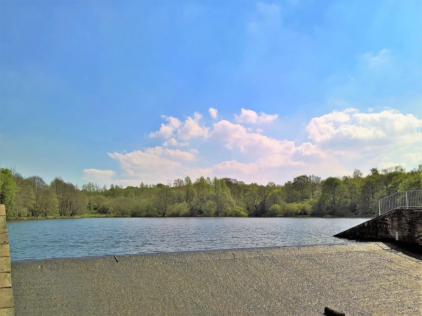 An image depicting the trail Haggate and Rowley Lake Loop and its surrounding area.