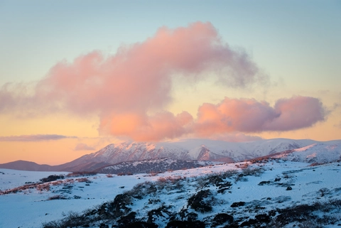 An image depicting the trail Mount Bogong Trail - Staircase Spur and its surrounding area.