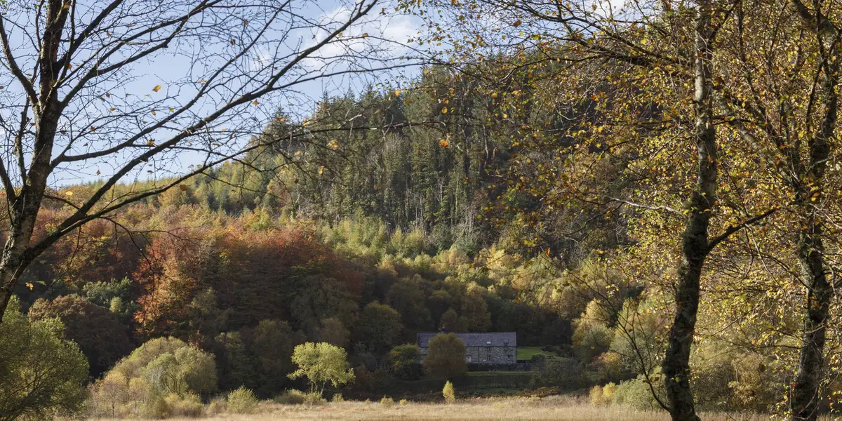 Four Lakes of the Gwydir Forest