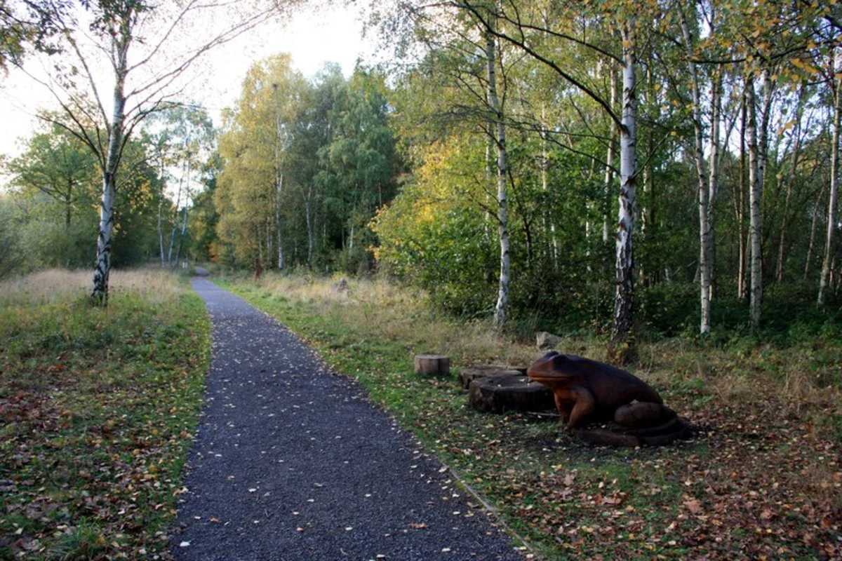 Potteric Carr Nature Reserve and Seven Arches Carr Walk