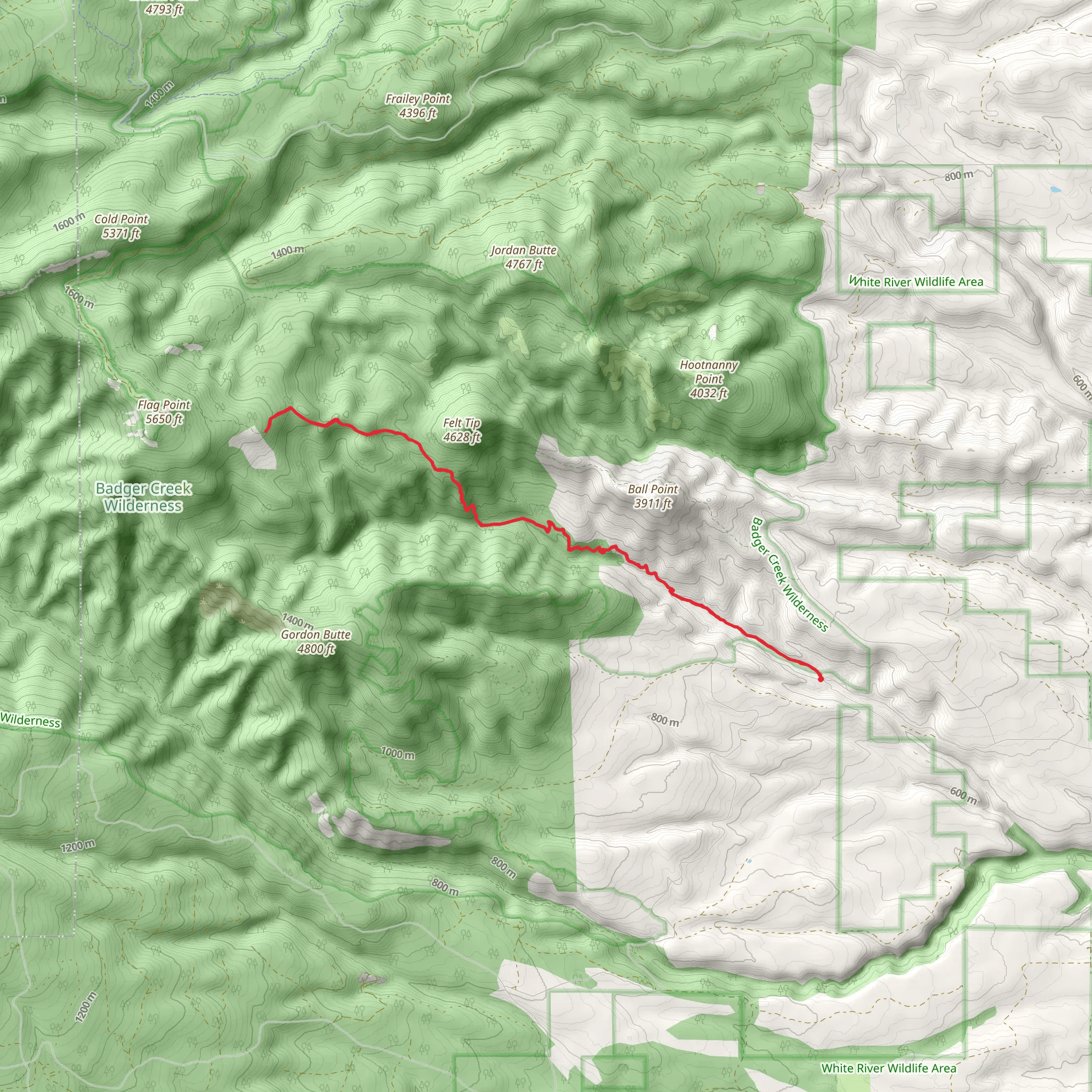 Little Badger Creek from Forest Road 2710 mobile static map