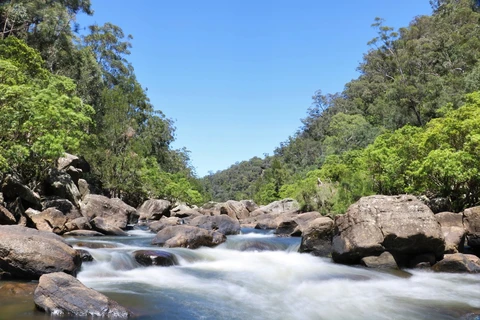 Caleys Lookout Track