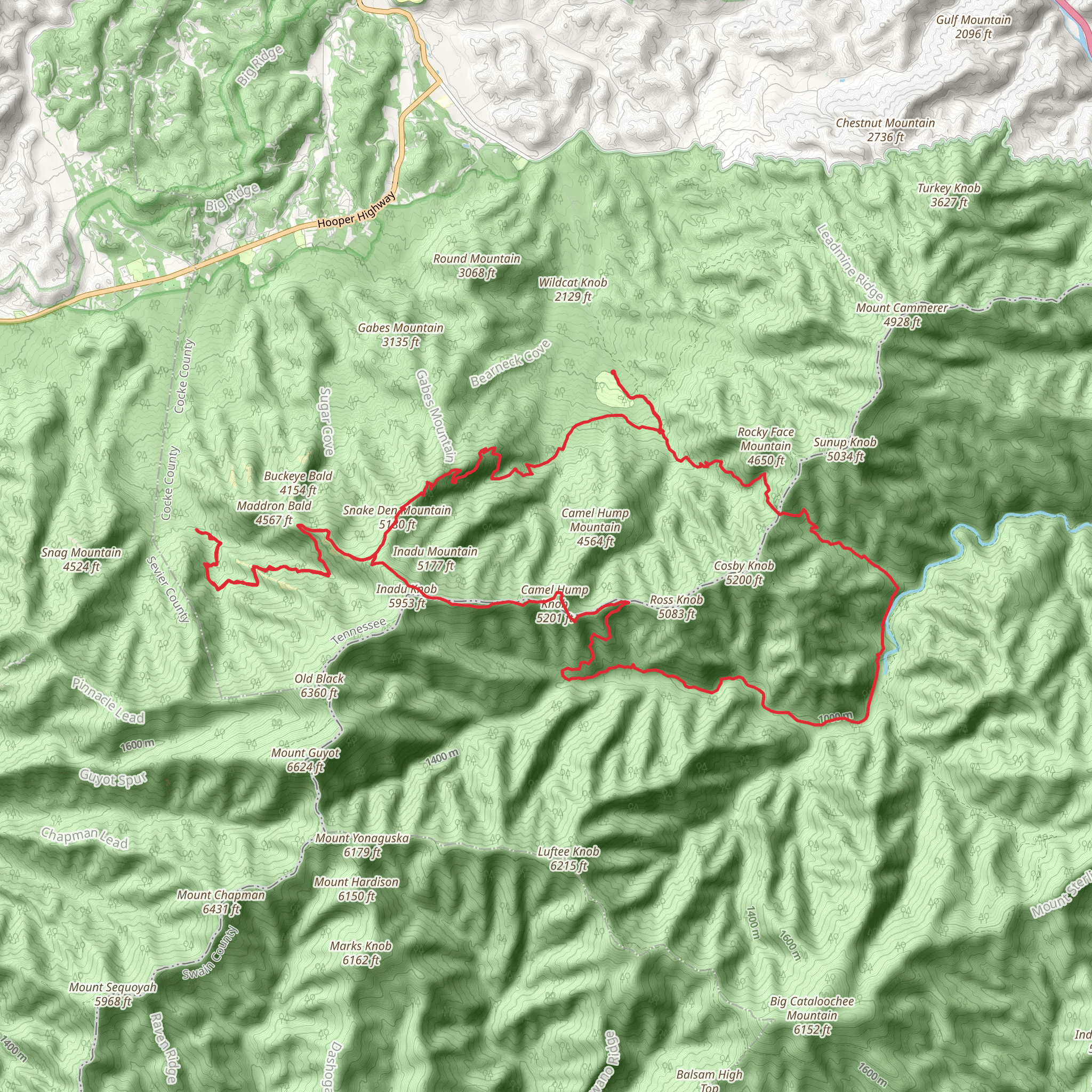 Low Gap, Snake Den Mountain, Maddron Bald and Low Gap Loop Trail mobile static map