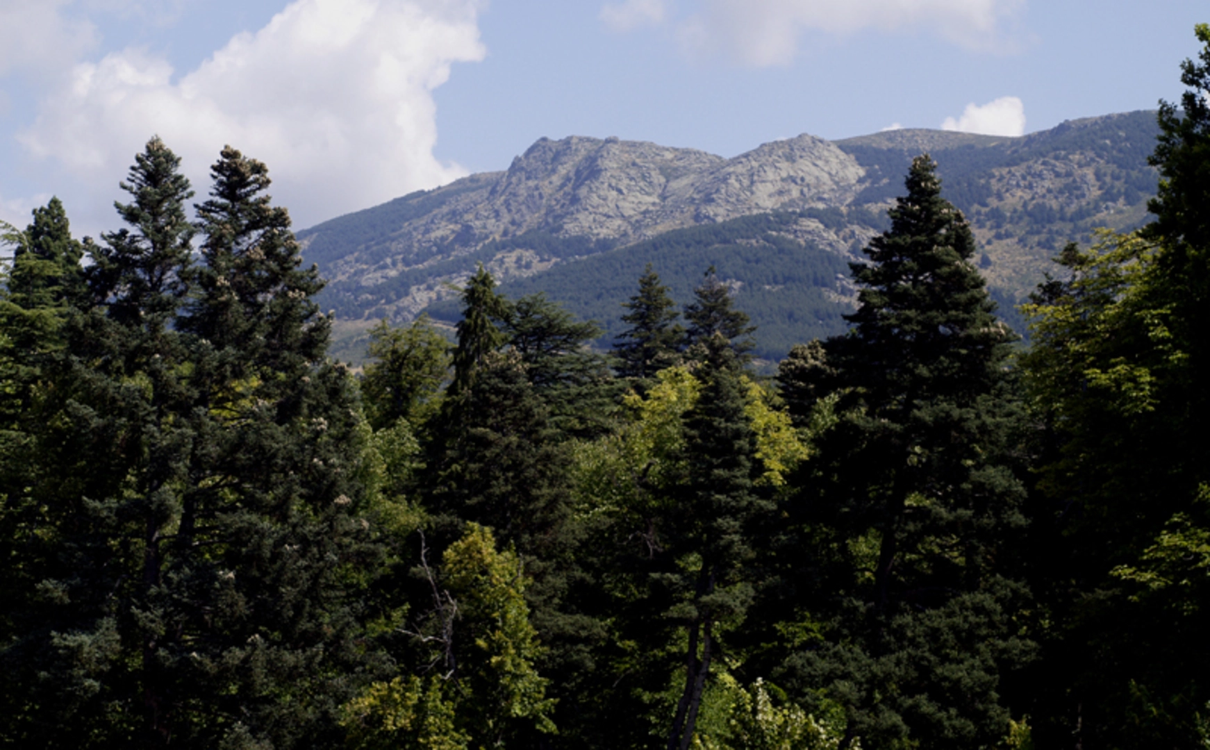 An image depicting the trail Valsaín Forest and its surrounding area.