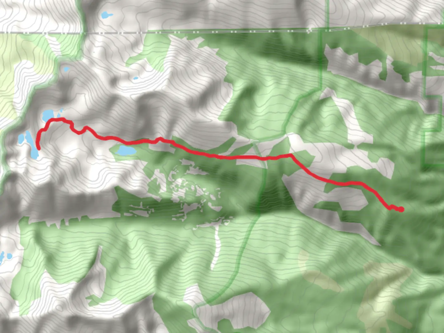 An image depicting the trail Holloway Lake Trail and its surrounding area.