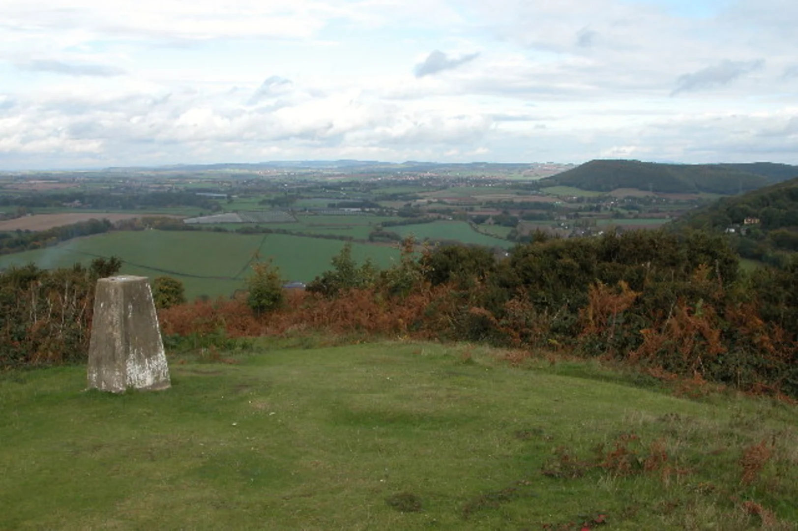 An image depicting the trail Thomas Wood and Coldwell Wood Loop and its surrounding area.