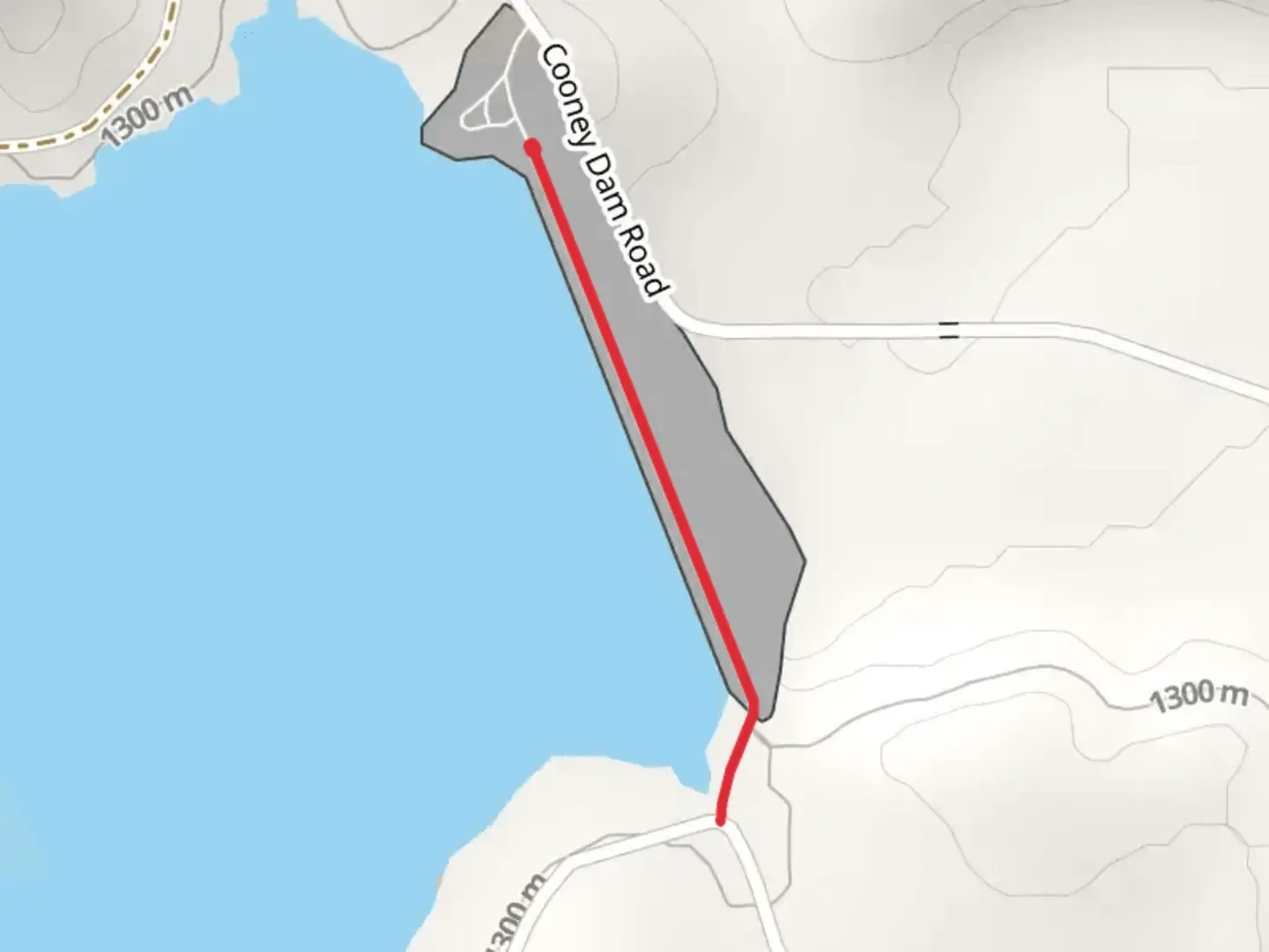 An image depicting the trail Cooney Dam Road and its surrounding area.