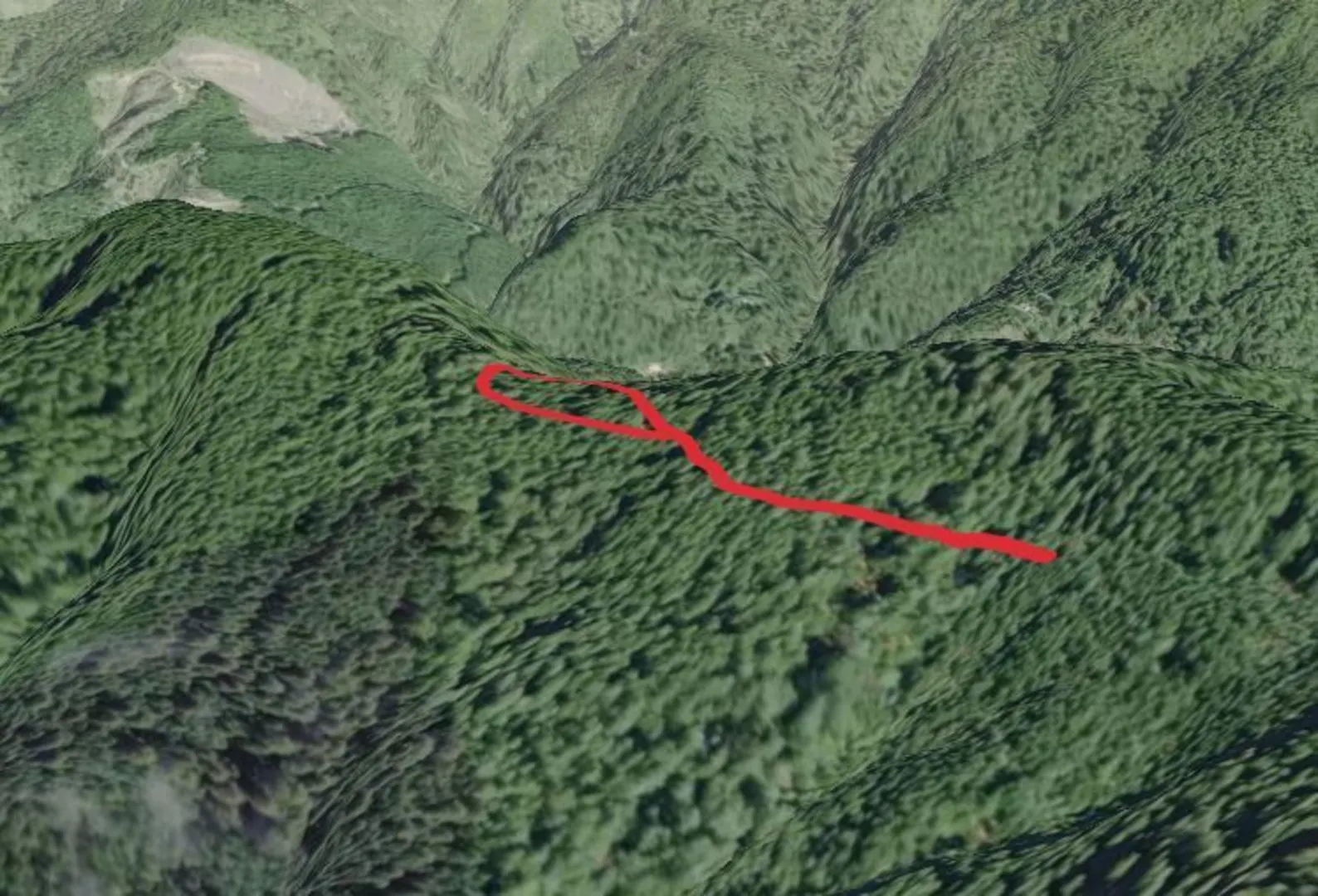 An image depicting the trail Oregon Redwoods - Barrier Free Loop Trail and its surrounding area.