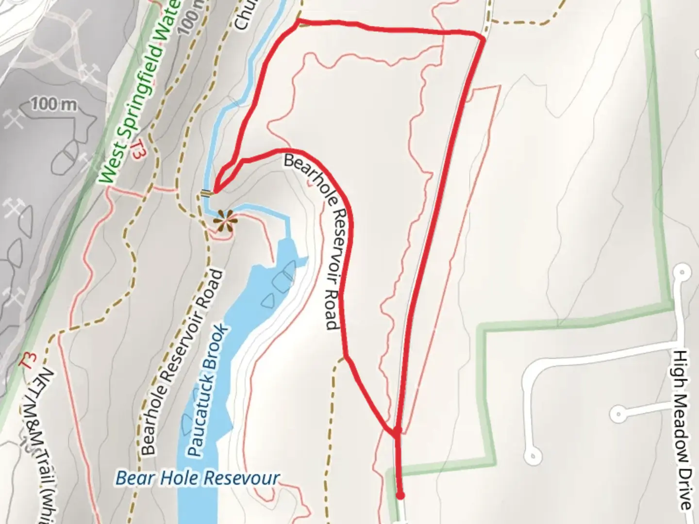 An image depicting the trail Paucatuck Brook and its surrounding area.