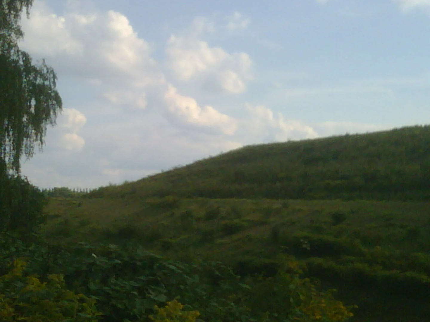 An image depicting the trail Erzbahntrasse and its surrounding area.