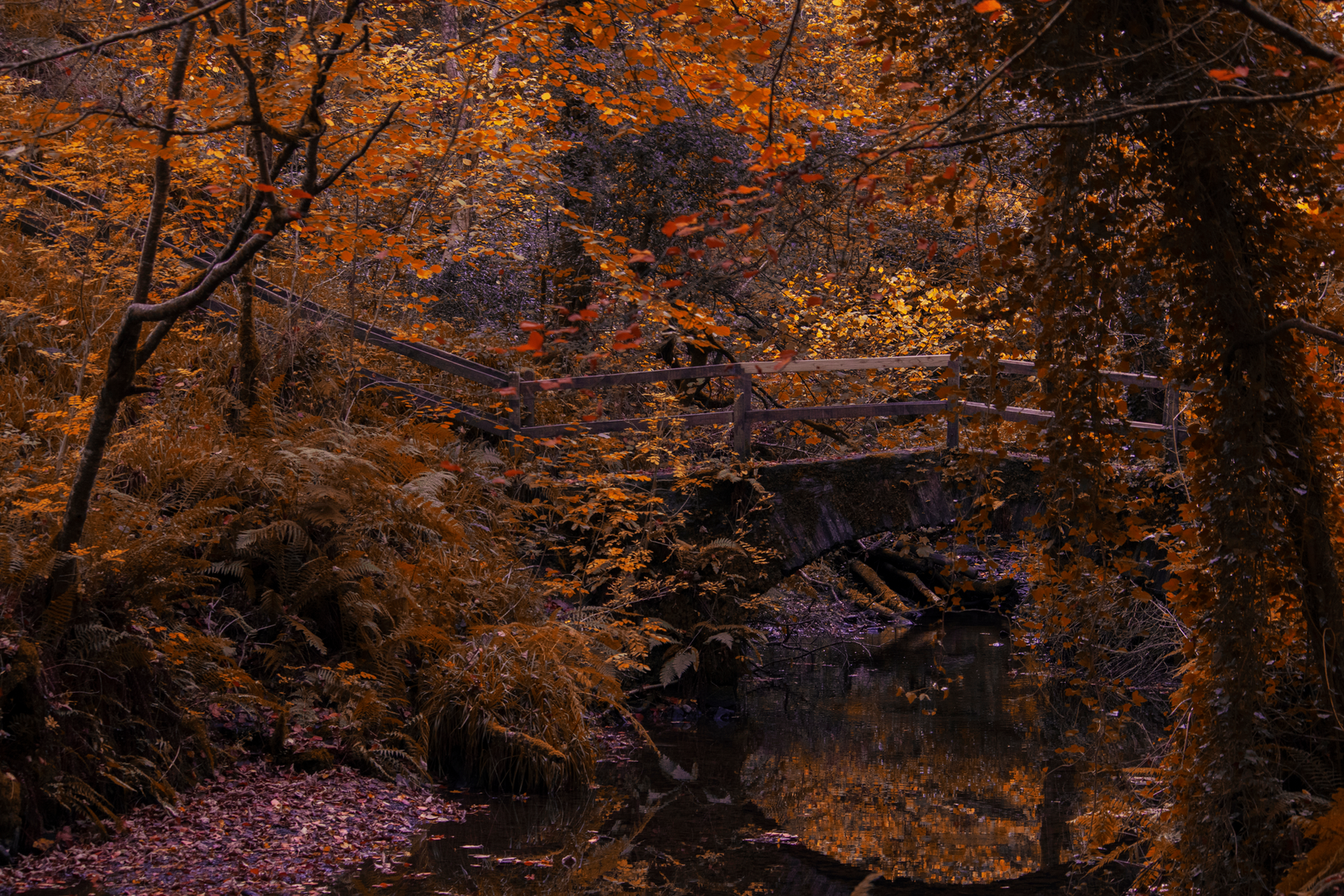 An image depicting the trail Dun a Ri - River Walk and its surrounding area.