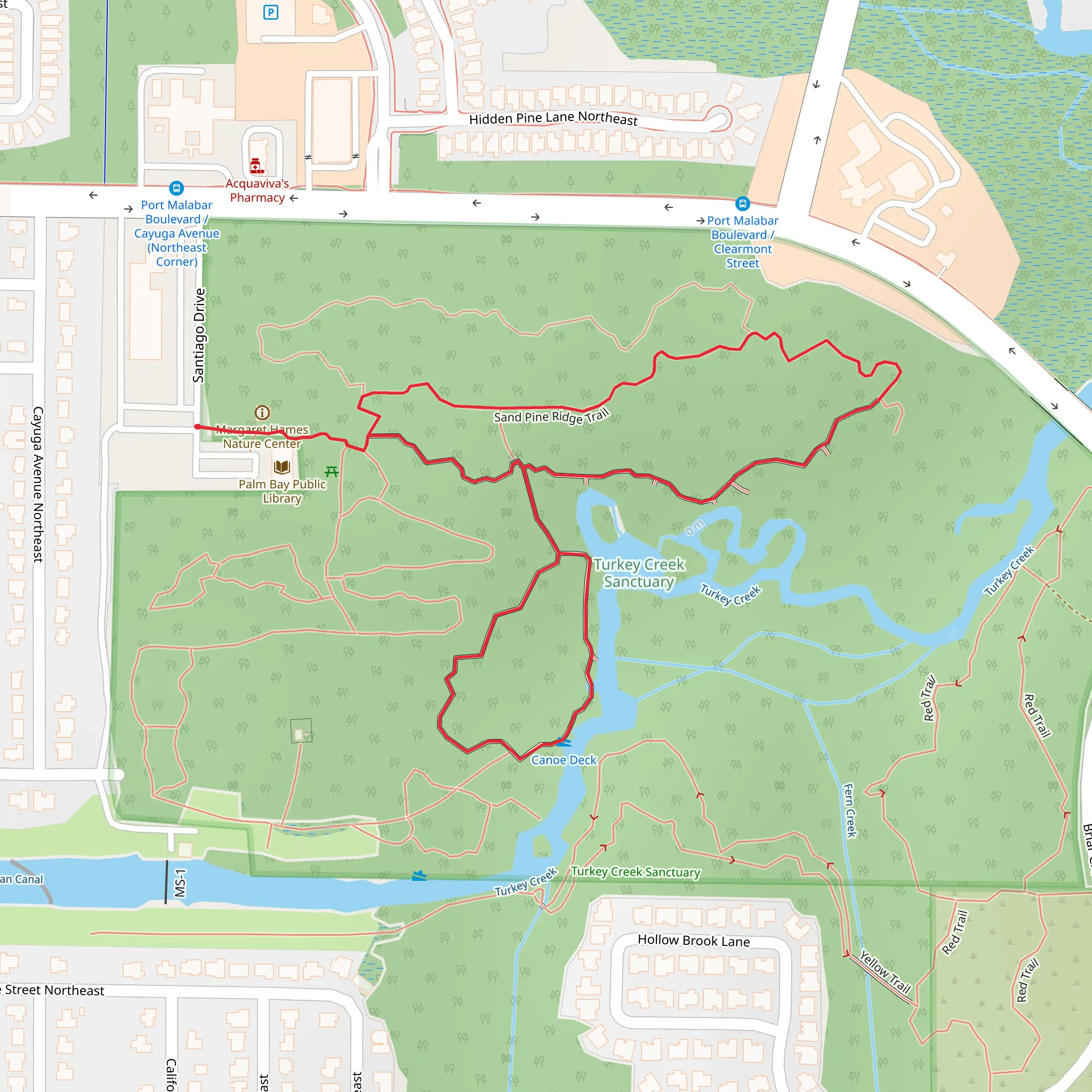 Sand Pine Ridge and Hammock Loop Trail mobile static map