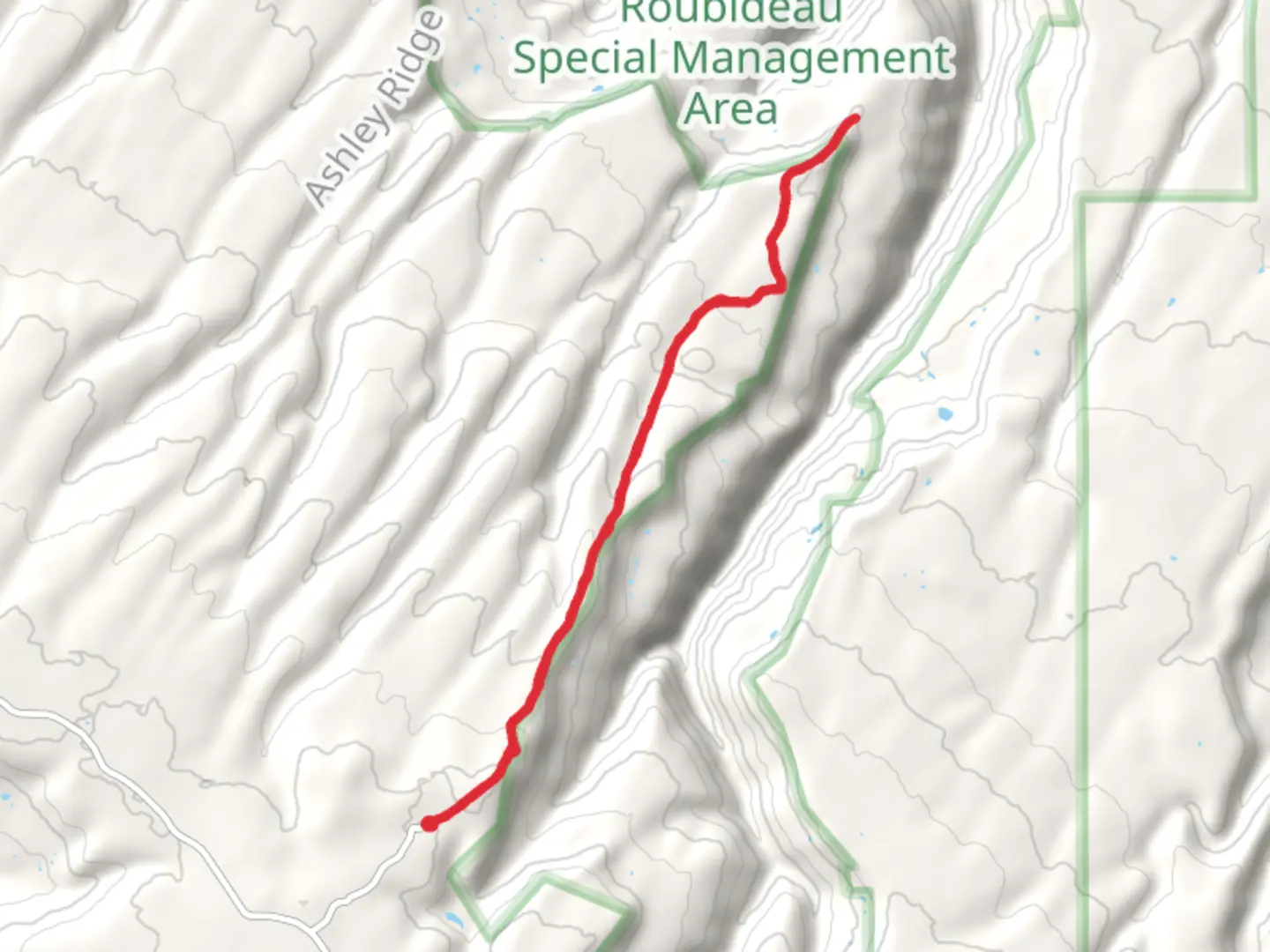 An image depicting the trail East Bull Trail and its surrounding area.