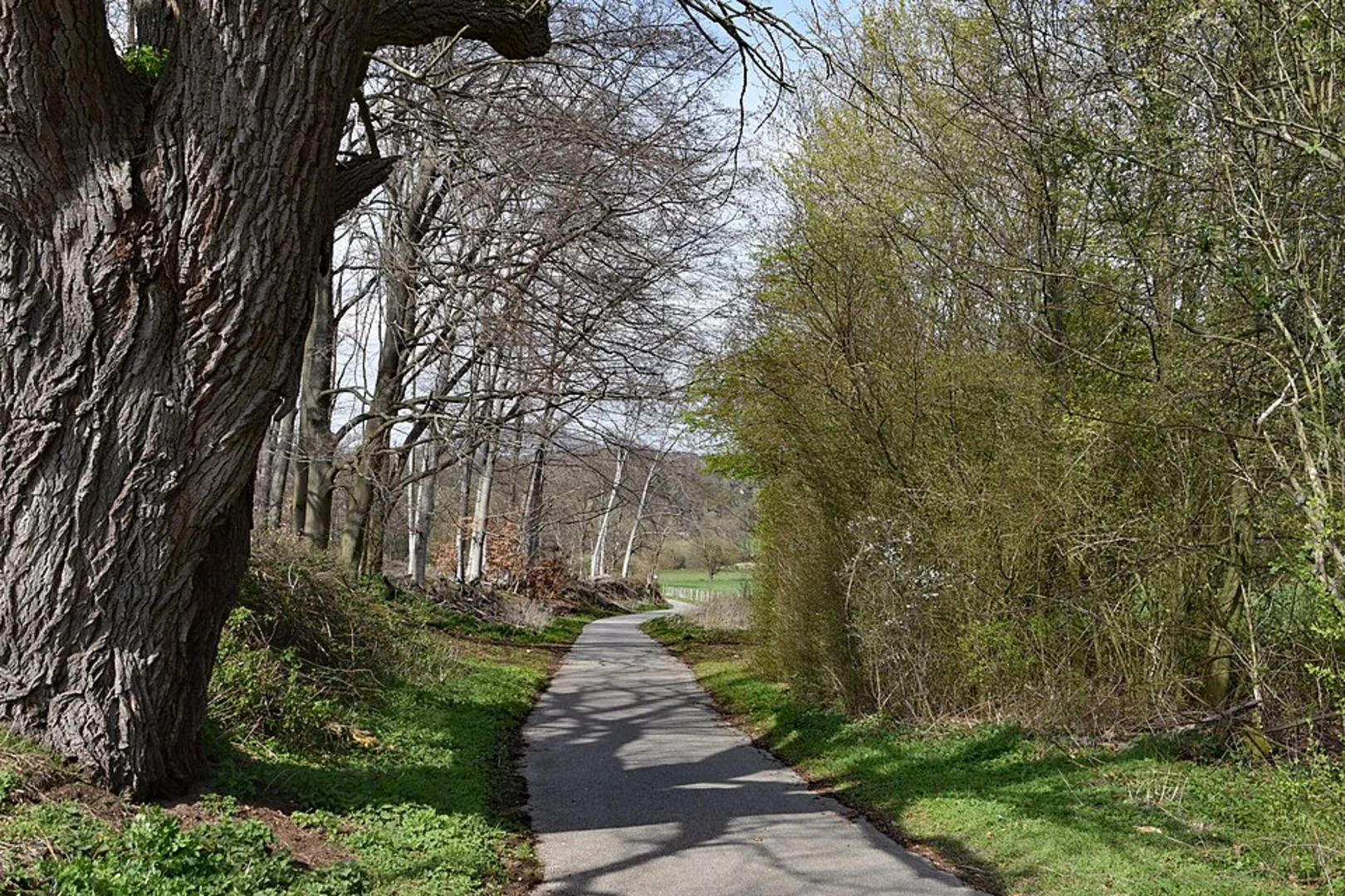 An image depicting the trail Unteres Broichbachtal südlich Noppenberg Loop and its surrounding area.