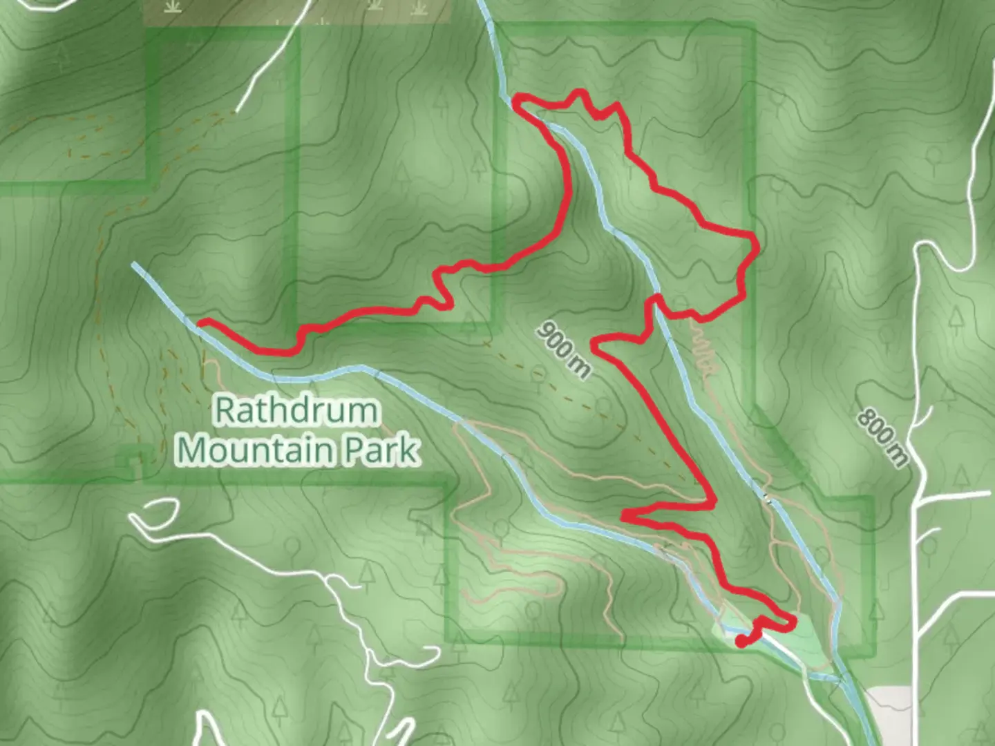 An image depicting the trail South Fork Spring Creek via Main Road and its surrounding area.